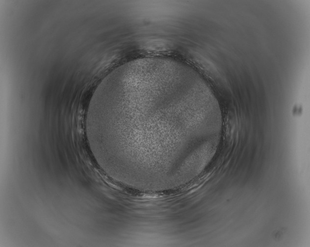 X0000092231346200709281056