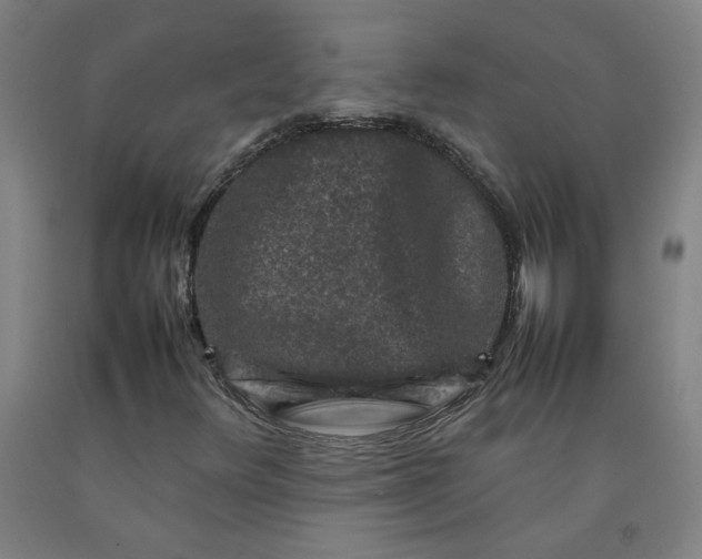 X0000092231348200709281056