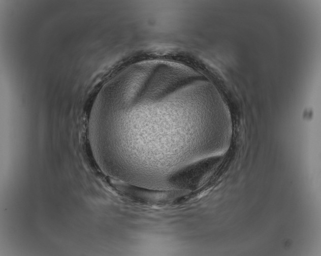 X0000092231349200709281056