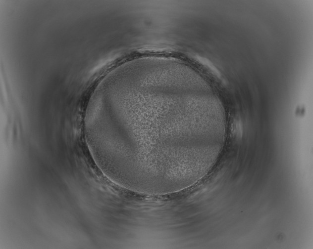 X0000092231350200709281056