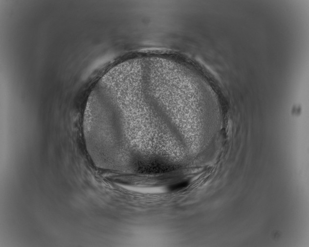 X0000092231351200709281056