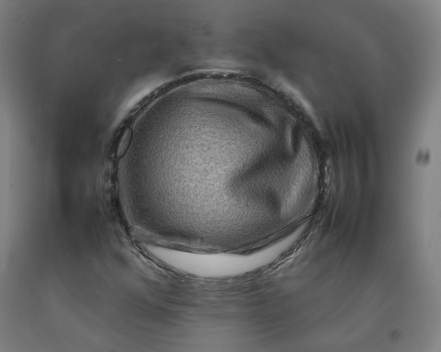 X0000092231352200709281056
