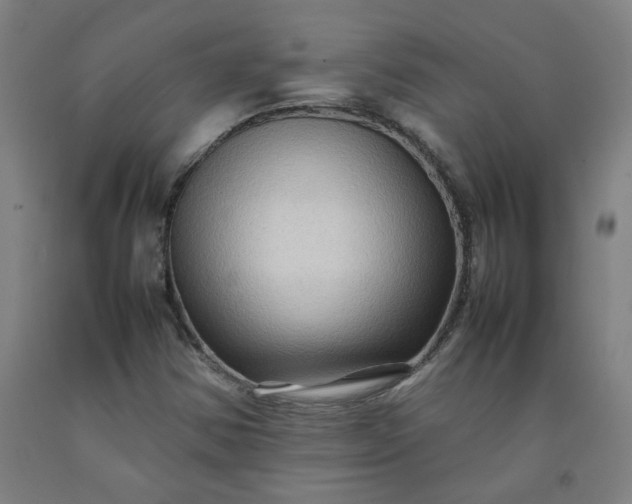 X0000092231354200709281056