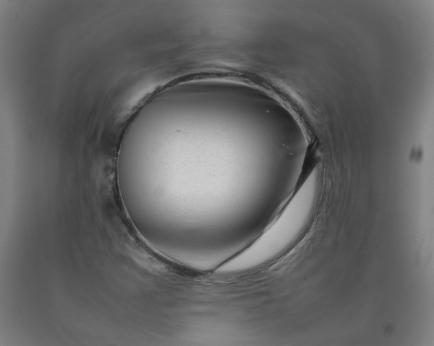 X0000092231355200709281055