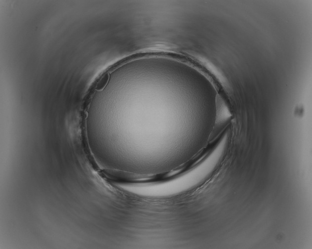 X0000092231356200709281055