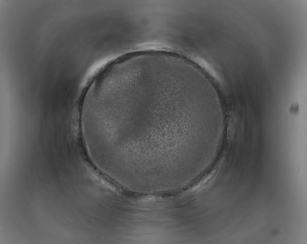 X0000092231358200709281055