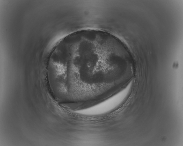 X0000092231359200709281055