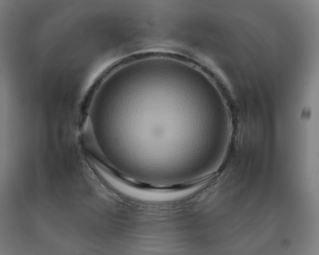 X0000092231360200709281055