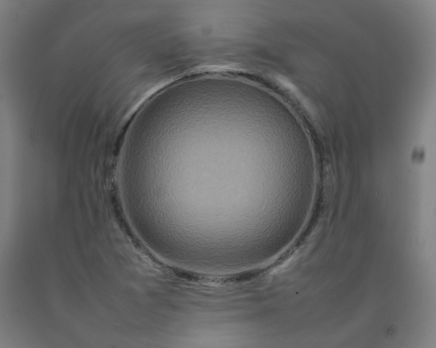 X0000092231361200709281055