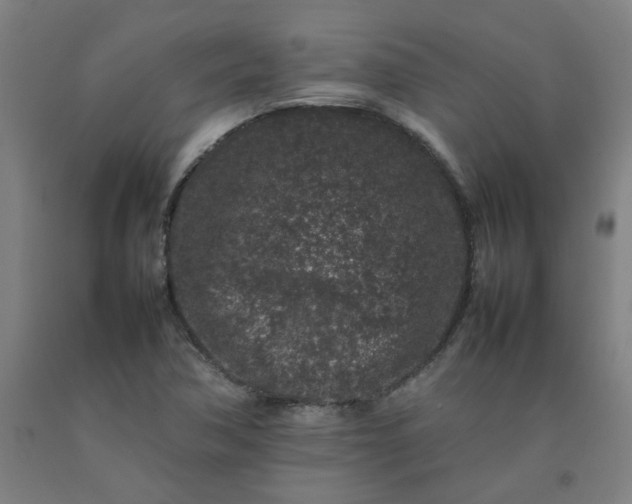 X0000092231362200709281055