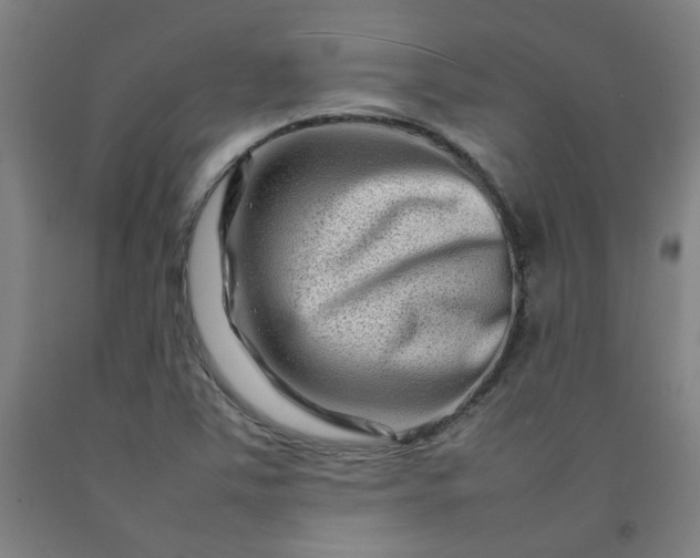 X0000092231363200709281055