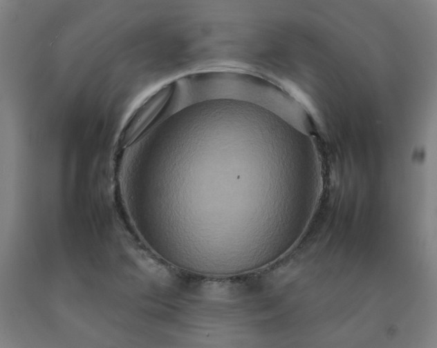 X0000092231364200709281055
