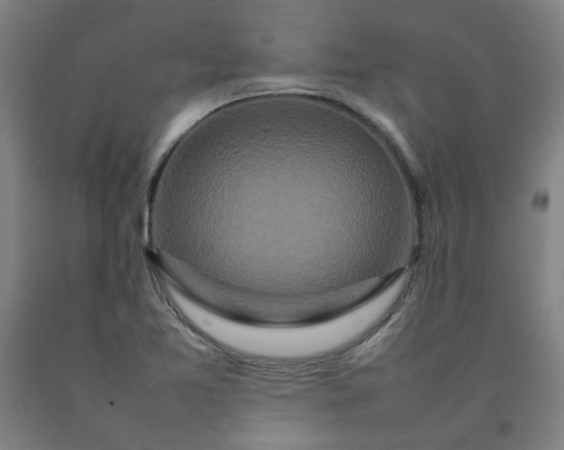 X0000092231365200709281055