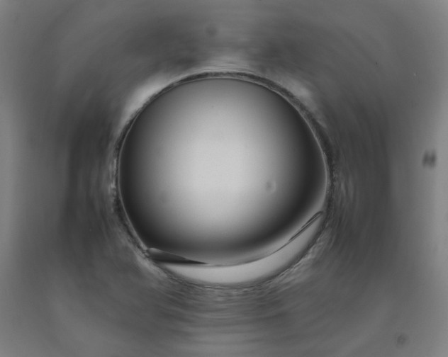 X0000092231366200709281055