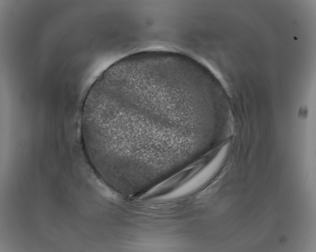 X0000092231367200709281055