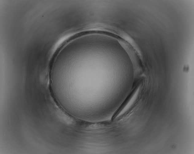 X0000092231368200709281055