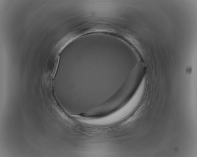 X0000092231369200709281055