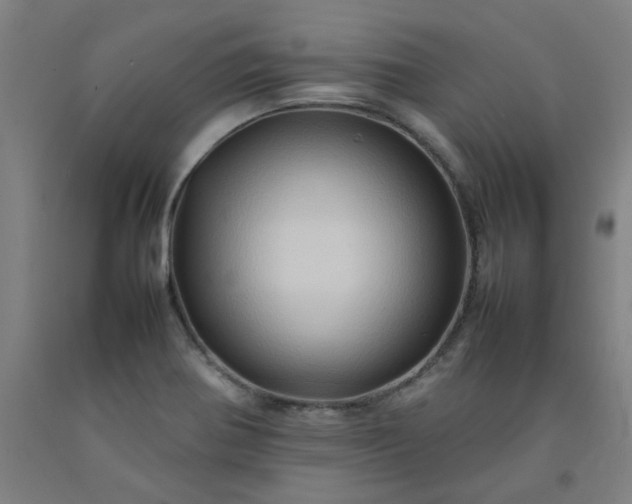 X0000092231370200709281055