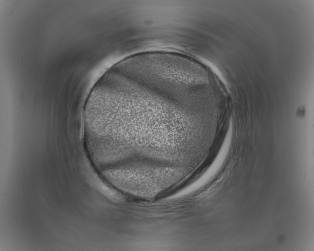 X0000092231371200709281055