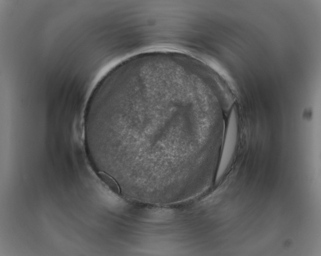 X0000092231372200709281055