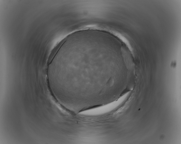 X0000092231373200709281055