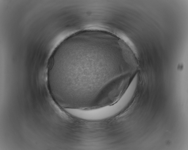 X0000092231376200709281055
