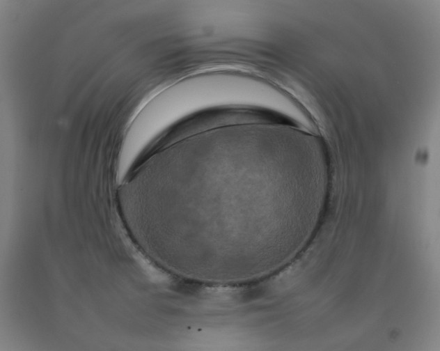 X0000092231377200709281055