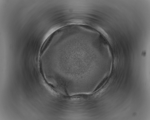 X0000092231378200709281055