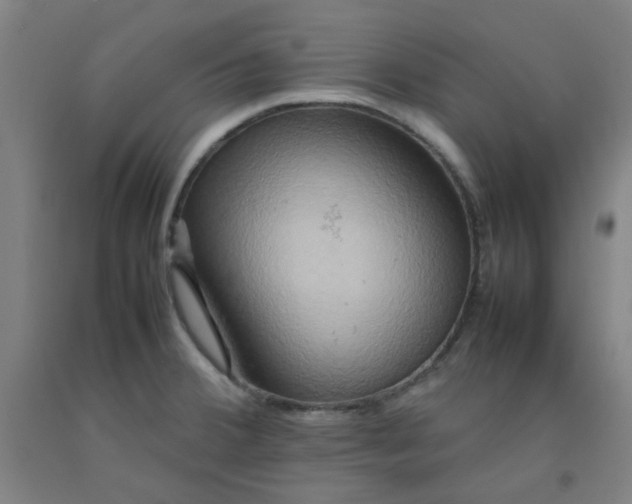 X0000092231380200709281055