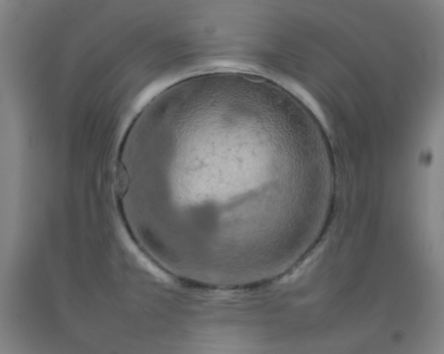 X0000092231381200709281055