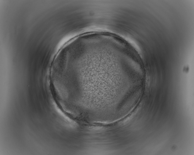 X0000092231382200709281055