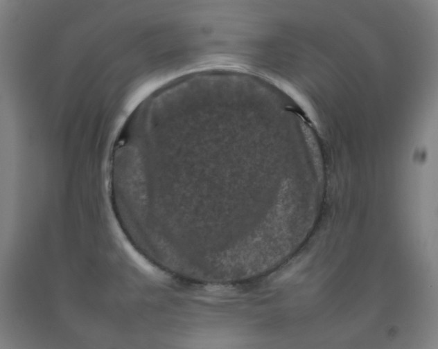 X0000092231383200709281055