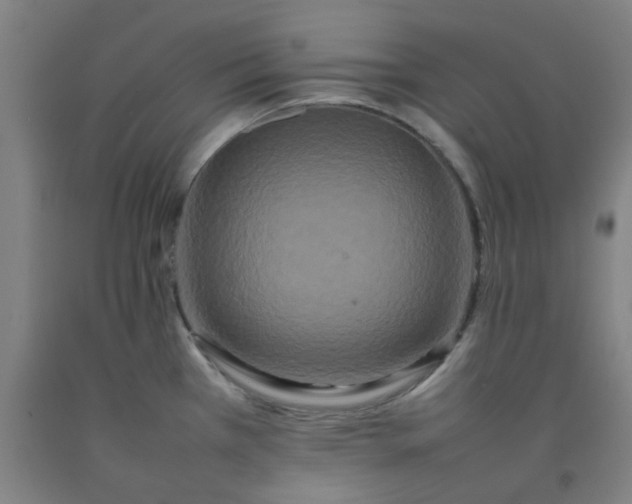 X0000092231385200709281055