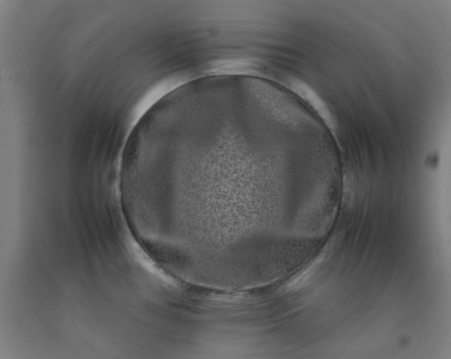 X0000092231386200709281055