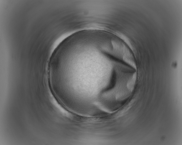 X0000092231387200709281055