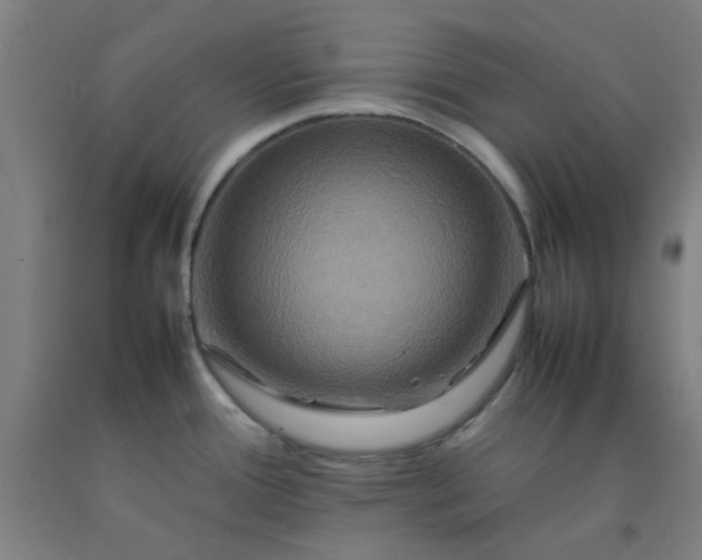 X0000092231388200709281055