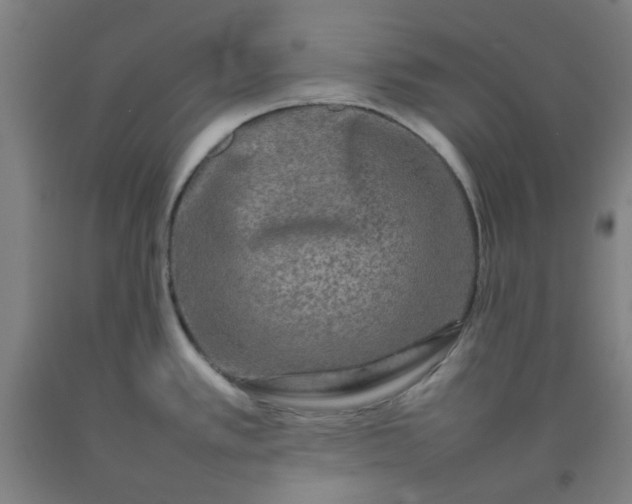 X0000092231389200709281055
