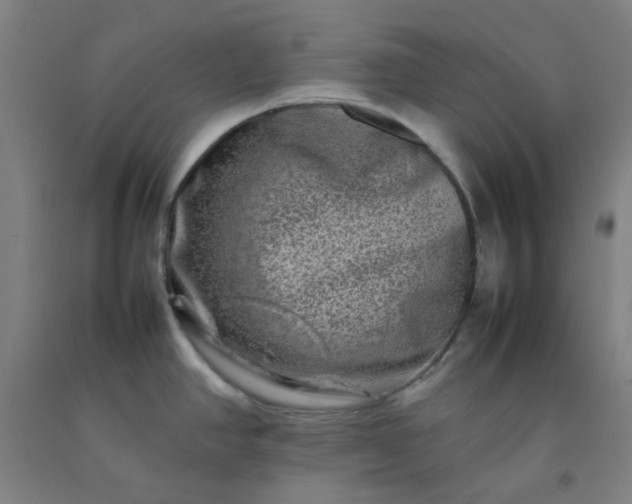 X0000092231390200709281055