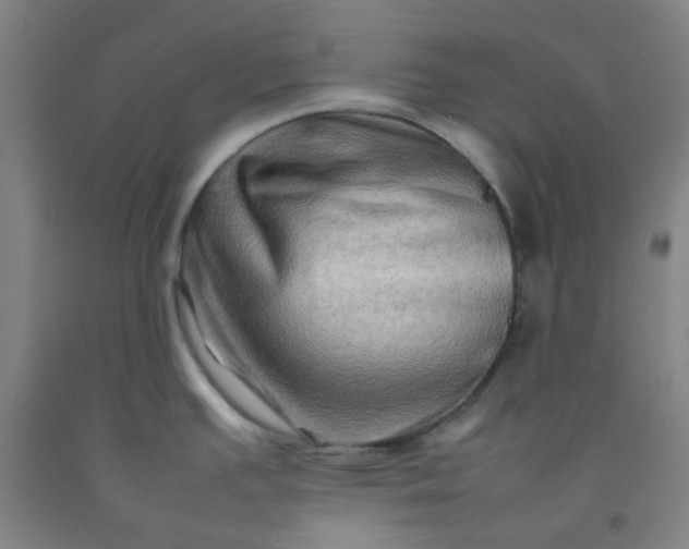 X0000092231391200709281055