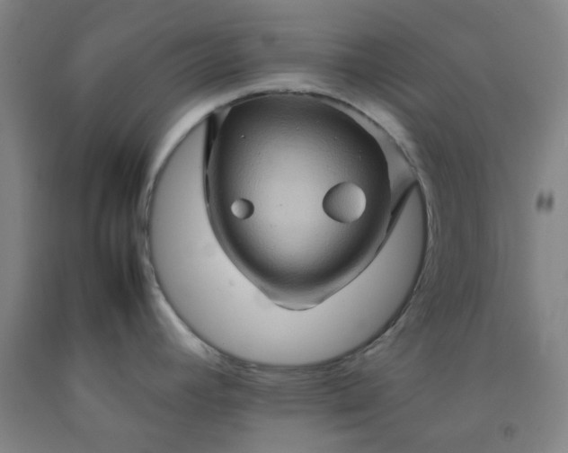 X0000092231392200709281055