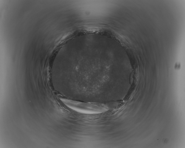 X0000092231394200709281054