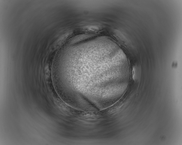 X0000092231395200709281054