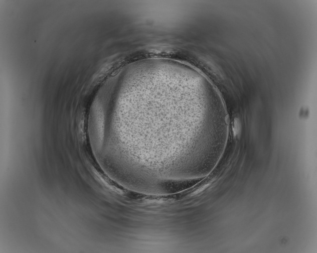 X0000092231396200709281054