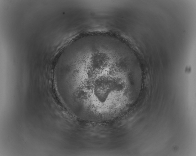 X0000092231397200709281054