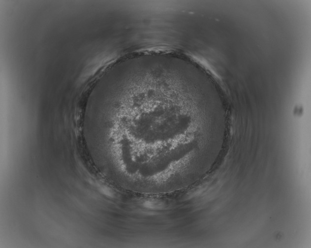 X0000092231399200709281055