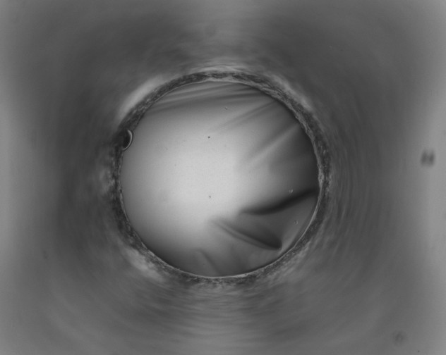 X0000092231400200709281055