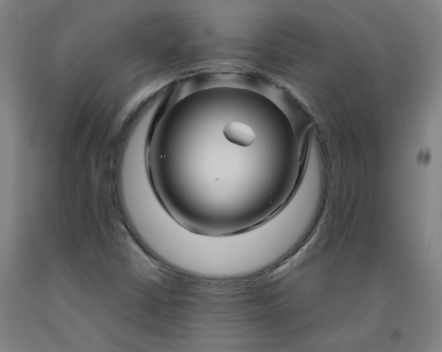 X0000092231402200709281055