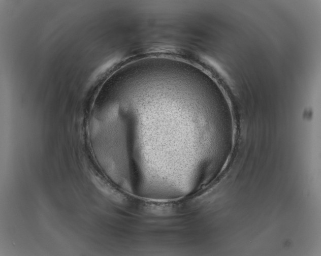 X0000092231403200709281055