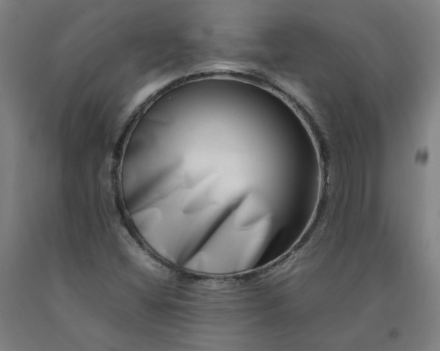 X0000092231404200709281055