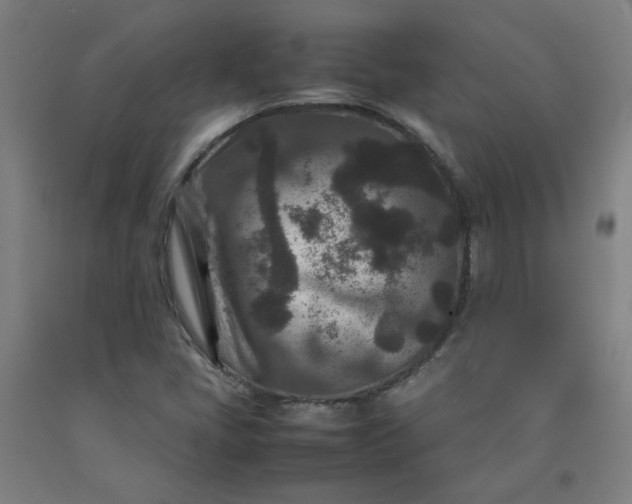 X0000092231405200709281055